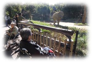 画像：夢プラン　動物園