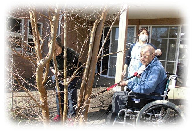 介護職員が車いすの入居者と一緒に屋外で梅の枝を剪定する様子